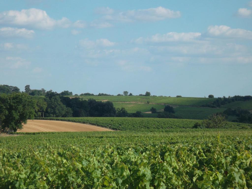 un campo de cultivos con un campo de tierra en el fondo en Chambres des Noels, en Faye-dʼAnjou