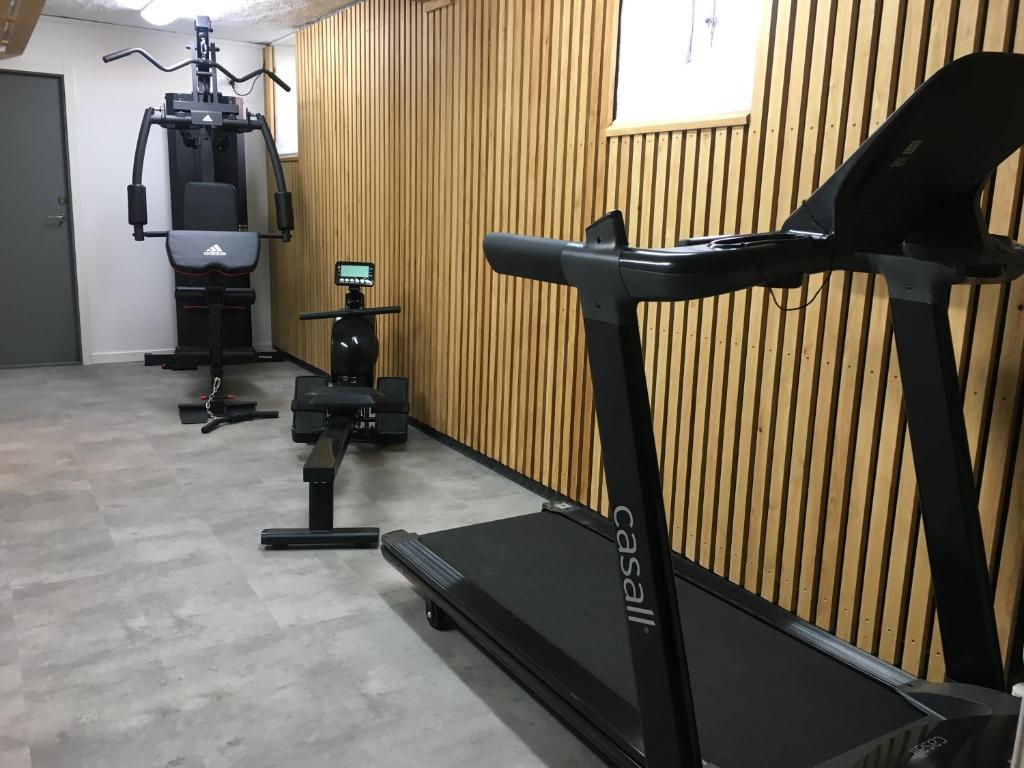 Fitness centrum a/nebo fitness zařízení v ubytování Hotel Wictoria