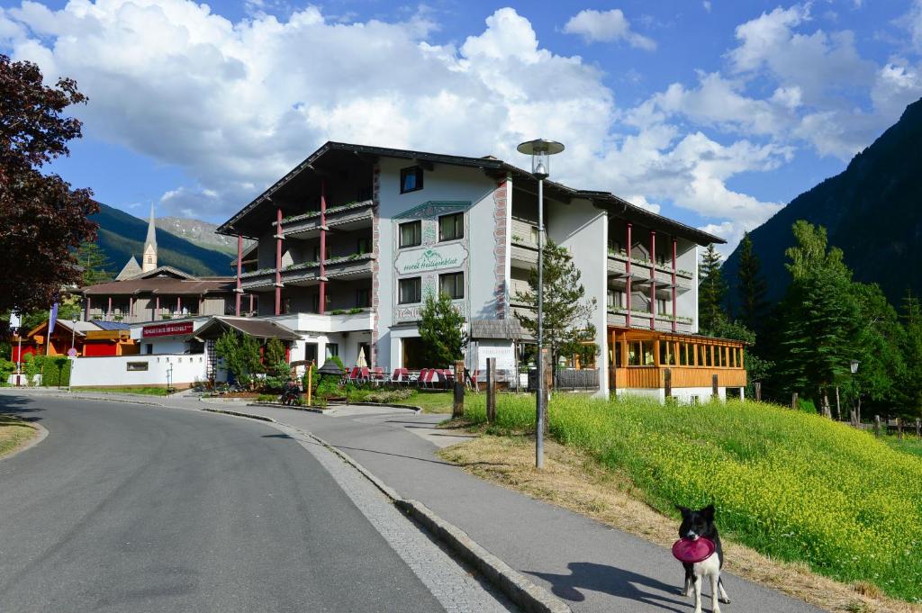 a dog standing on the street in front of a building at Sporthotel Heiligenblut in Heiligenblut