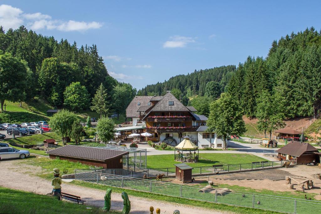 Příroda nedaleko hotelu