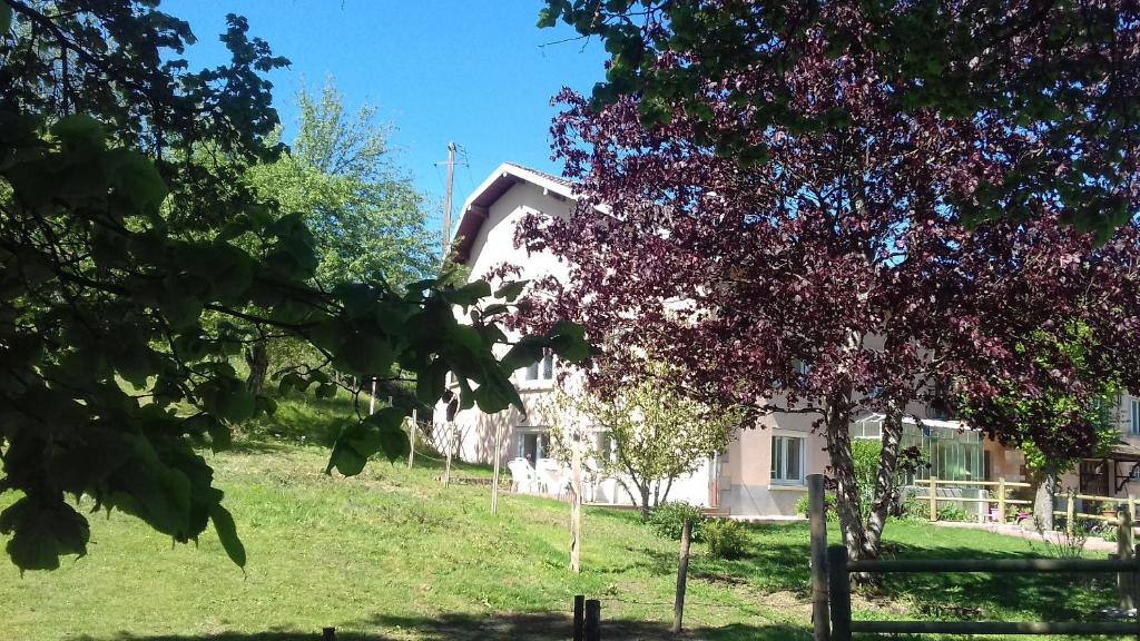 ein weißes Haus mit einem Baum davor in der Unterkunft L'oriere des Bois in Ronchamp