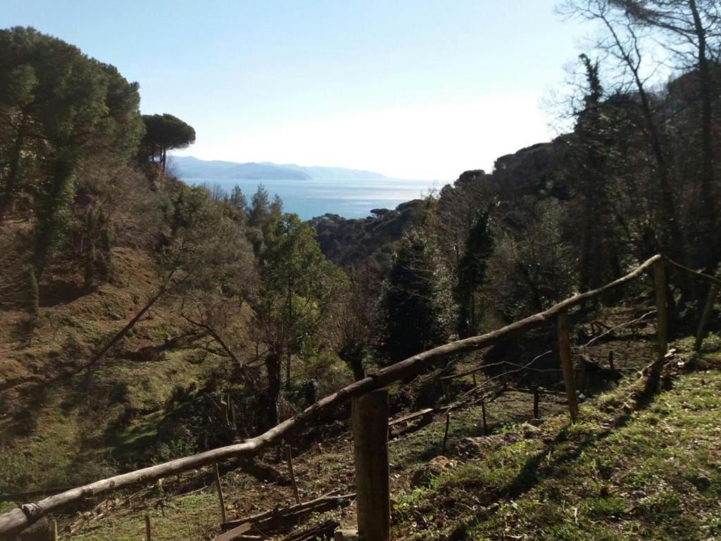 a fence on the side of a hill with trees at Country House in Portofino Mount & Natural Park in Portofino