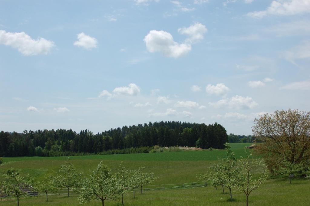 a green field with trees and a fence at Ferienwohnung Brock in Breitenbrunn