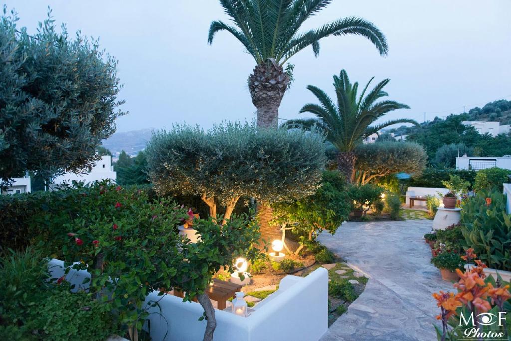 un jardín con palmeras, arbustos y luces en Hotel Elena, en Alinda