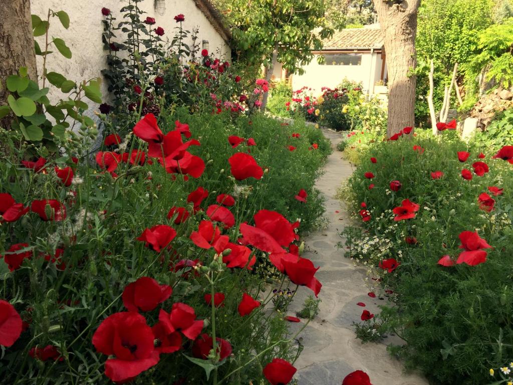 a garden with red flowers and a pathway at Garden House in Selçuk