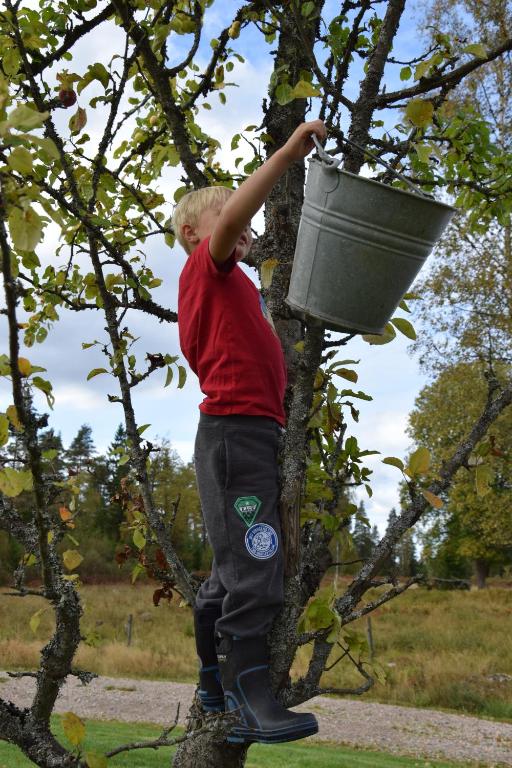 Hosté ubytování Kronobo