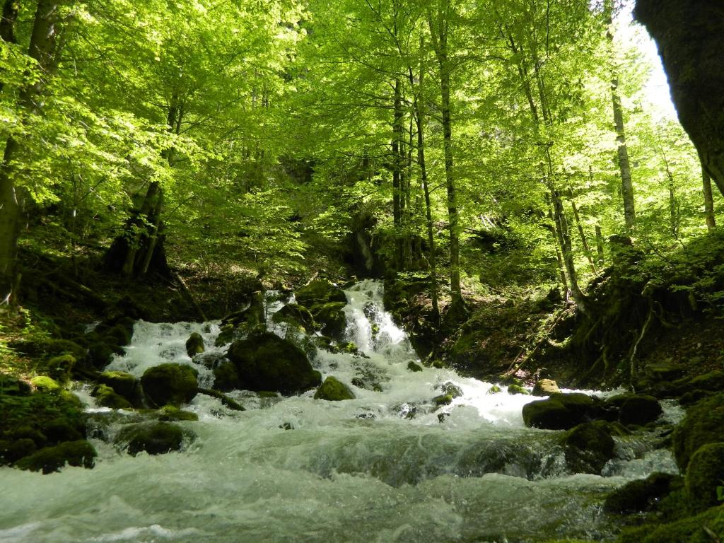Příroda nedaleko apartmánu