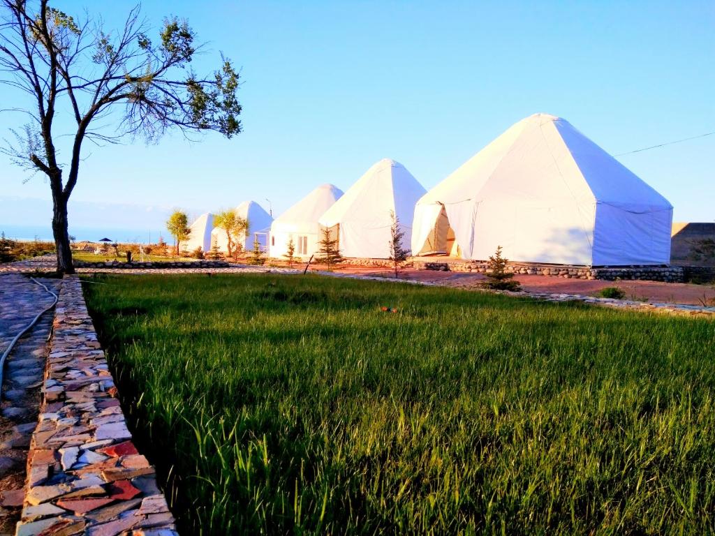 a group of tents in a field of grass at Yurt camp Meiman Ordo in Bokonbayevo
