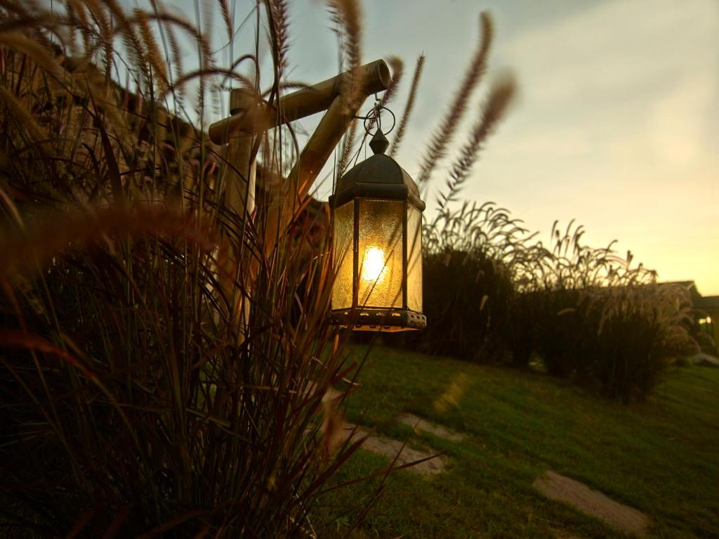 Giardino di Asiatic Lion Lodge