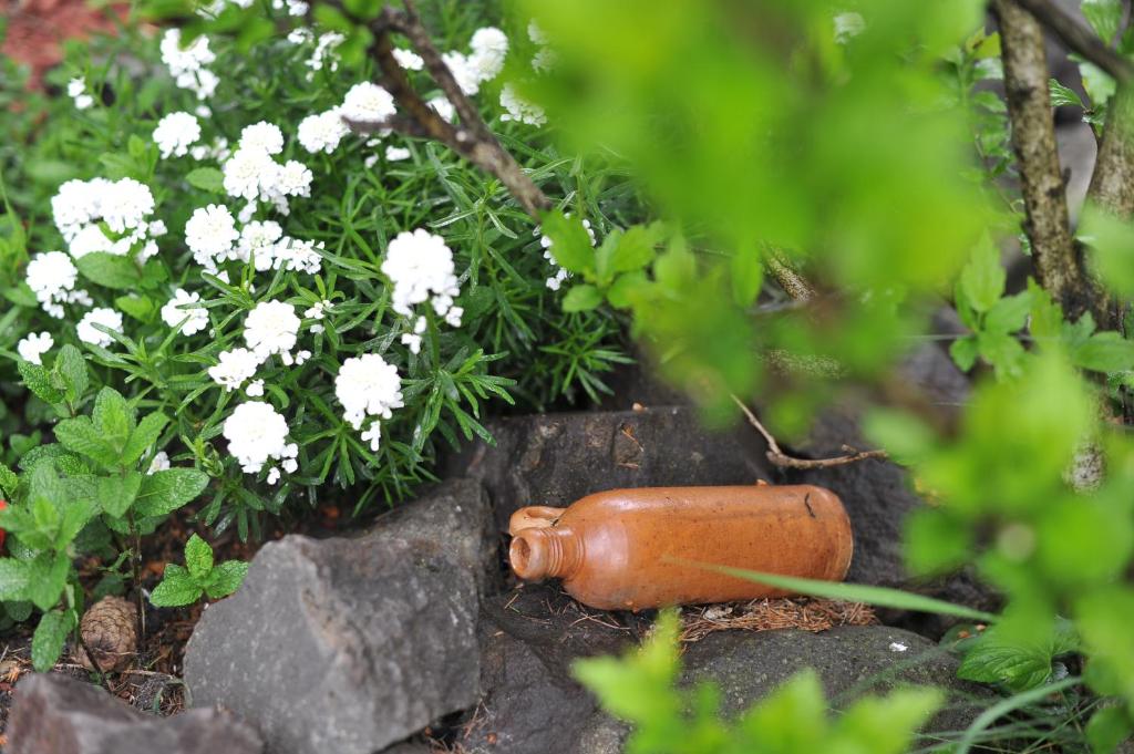 una zanahoria de juguete sentada en el suelo junto a las flores en Oázis Vendégház, en Egerszalók