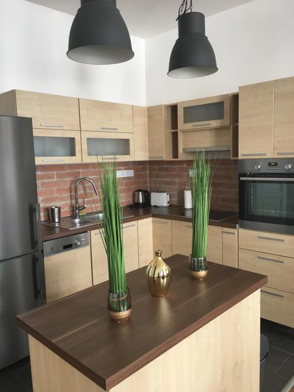 een keuken met twee potplanten op een aanrecht bij Gozsdu Entertainment District Apartment in Boedapest