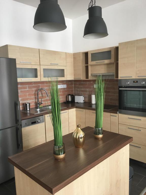Kuchyňa alebo kuchynka v ubytovaní Gozsdu Entertainment District Apartment