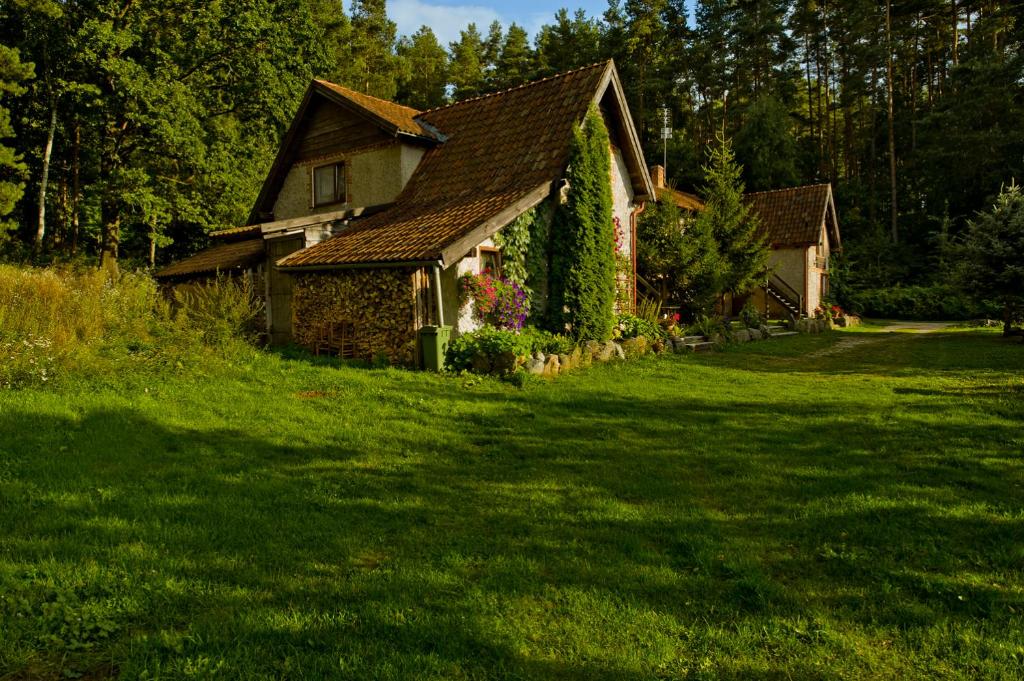 uma casa com hera a crescer ao lado dela em Kociol Duzy 24 em Kocioł