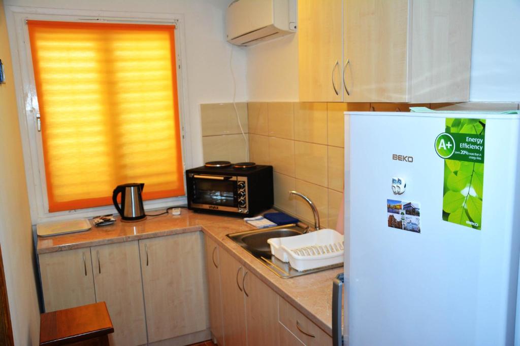 Kuchyň nebo kuchyňský kout v ubytování Apartment Biser