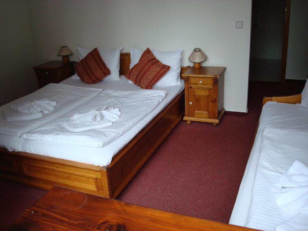 Łóżko lub łóżka w pokoju w obiekcie Sport hotel POMI