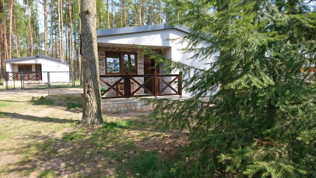 uma casa na floresta com uma árvore em Domek letniskowy SZWED-POL em Kujan