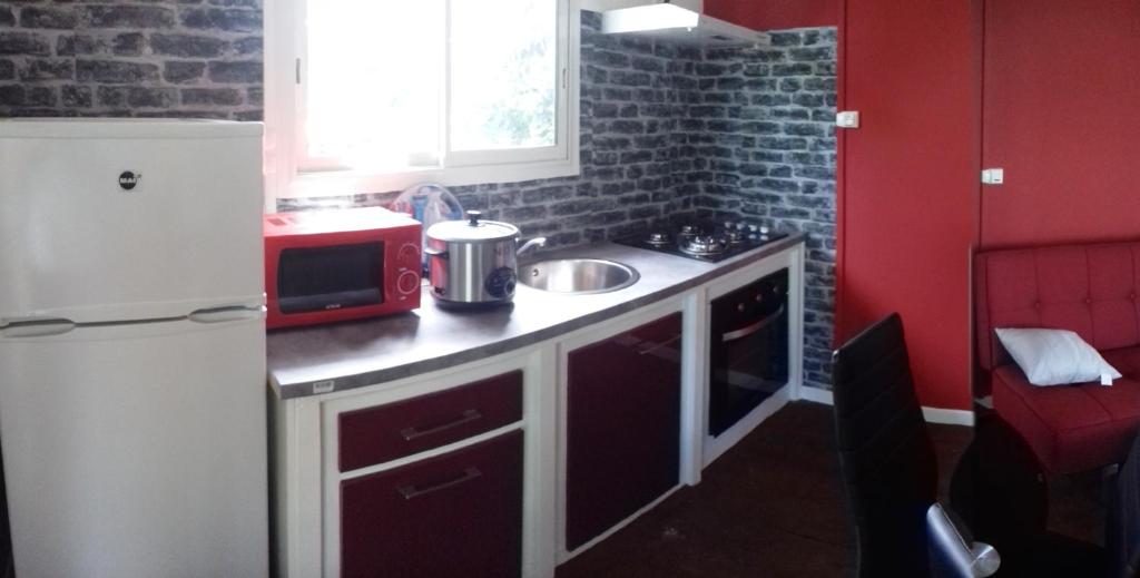 una pequeña cocina con fregadero y nevera. en Gites de la falaise, en Le Tampon