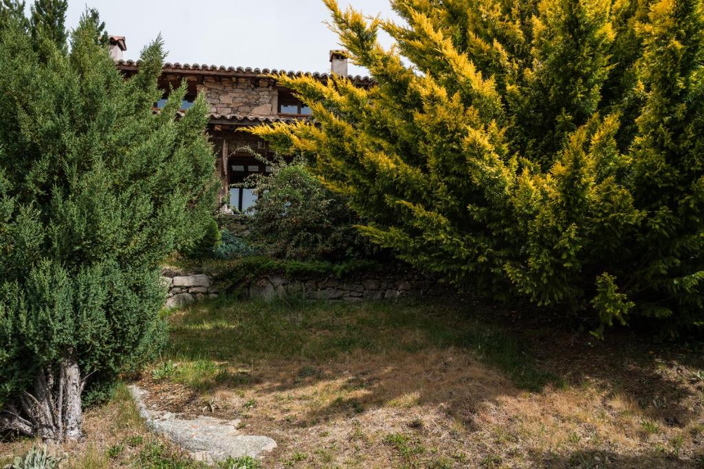 Zahrada ubytování El Cerro - El Cerro I