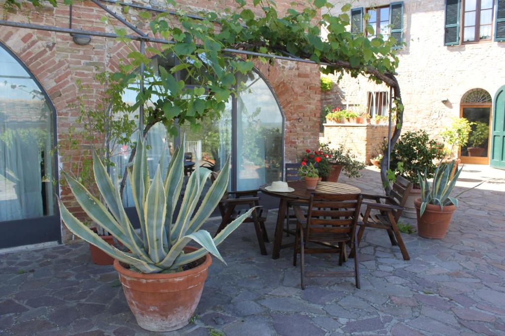 A garden outside Vignano40