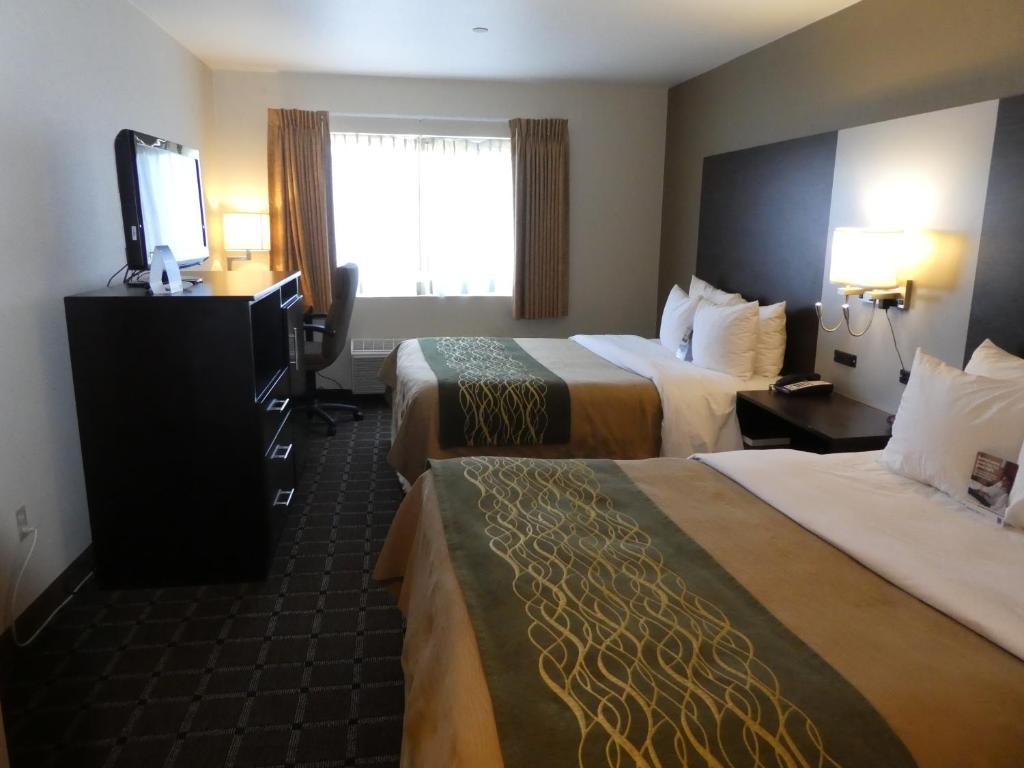 Comfort Inn Watsonville - Queen Room Met Twee Queensize Bedden - Niet -roken