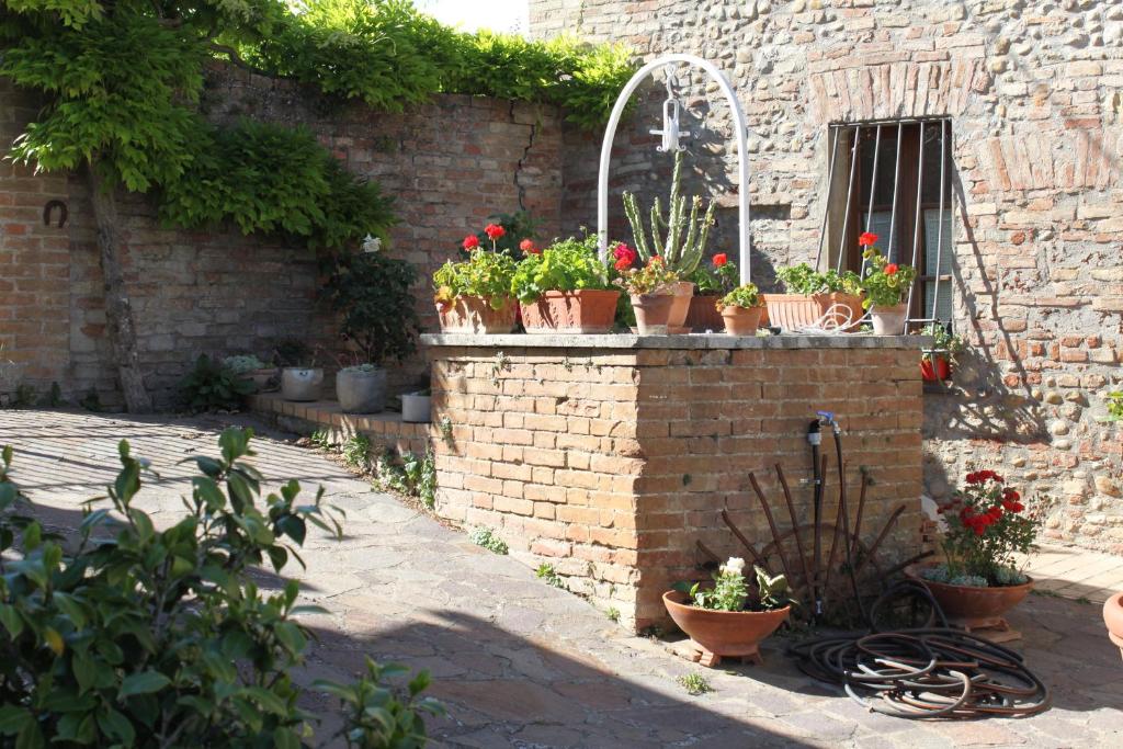 A garden outside Vignano40