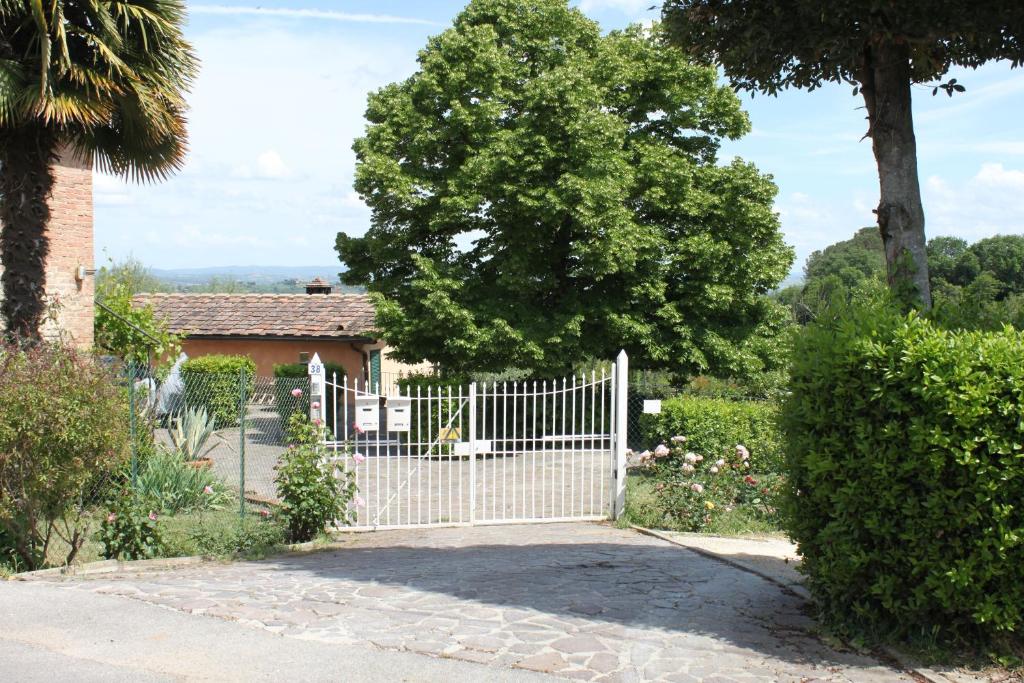 A garden outside Vignano40