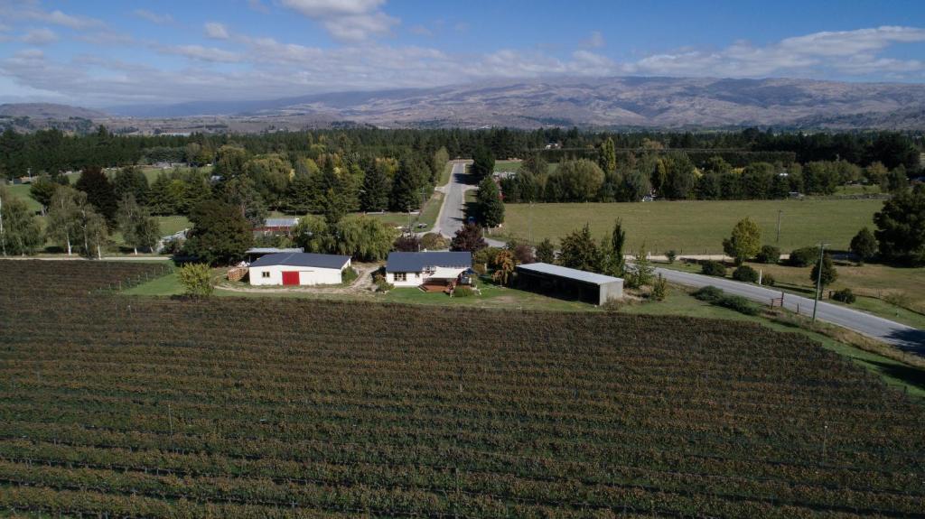 Judge Rock Exclusive Vineyard Cottage Accommodation - Cottage à Trois Chambres