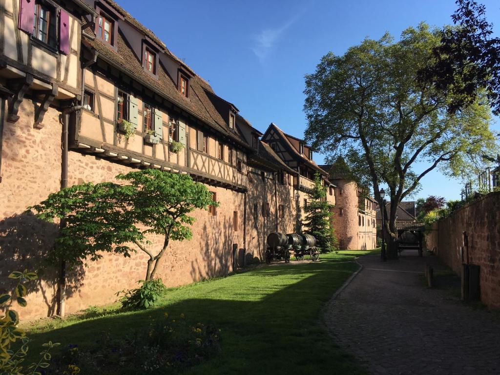 Laterale Residences Riquewihr – photo 6
