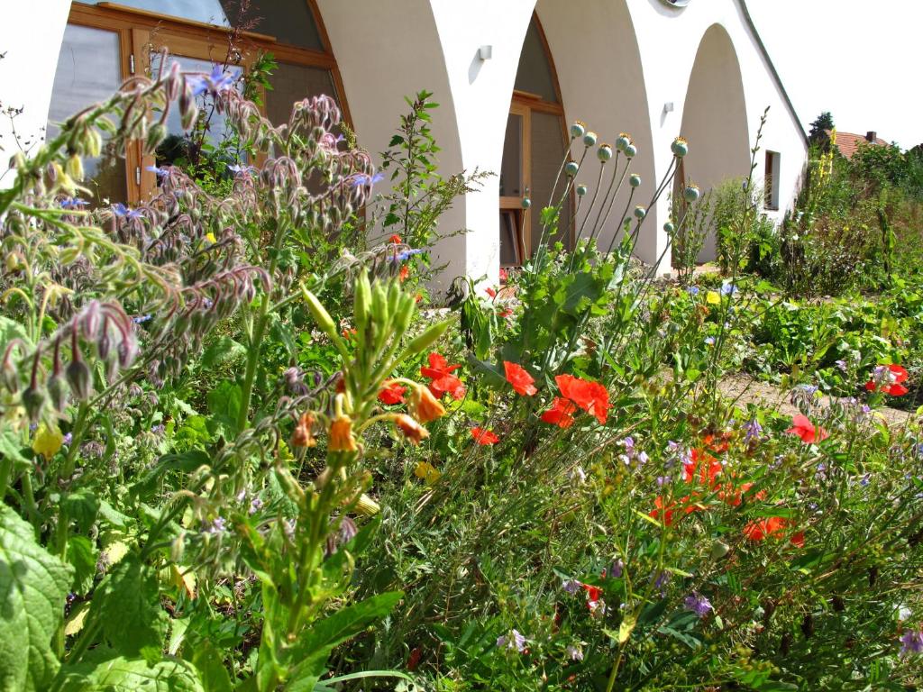 Gästehaus am Wangeliner Garten - Suite