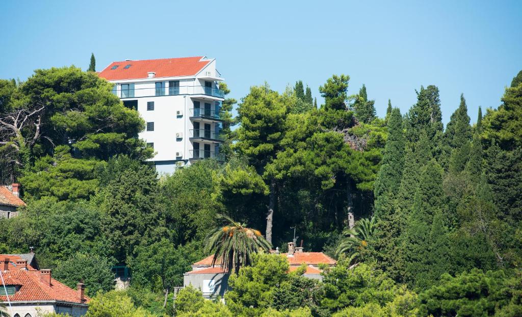 Příroda nedaleko apartmánu