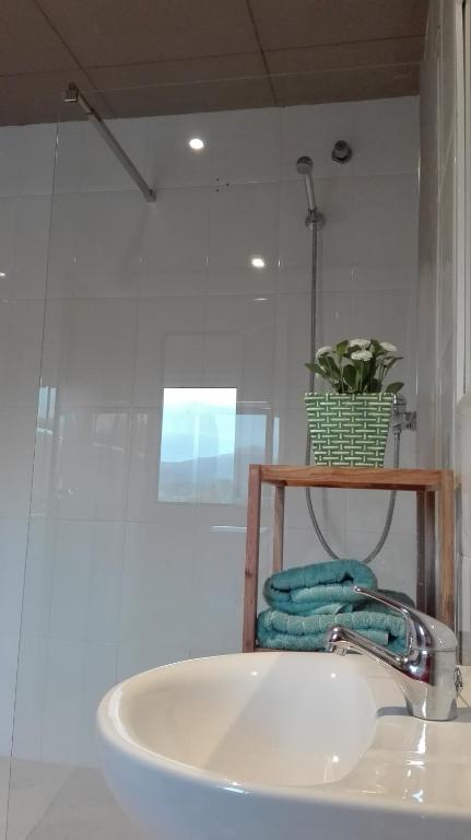 Koupelna v ubytování Apartaments Els Temporers