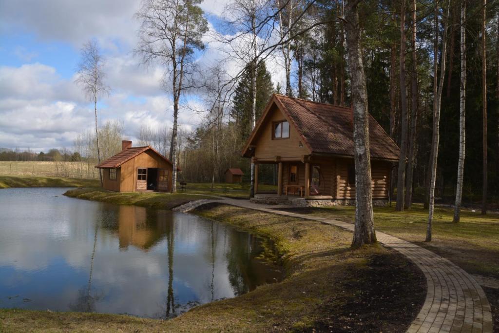 une cabane en rondins avec un étang en face de celle-ci dans l'établissement Medāji, à Zaķumuiža