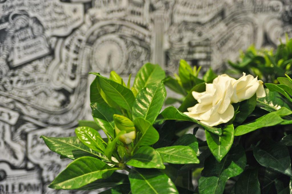 Fotografie z fotogalerie ubytování Agrinio ART Suites v destinaci Agrinion