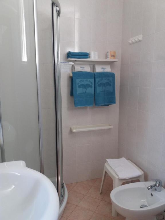 Koupelna v ubytování Hotel Ai Pini