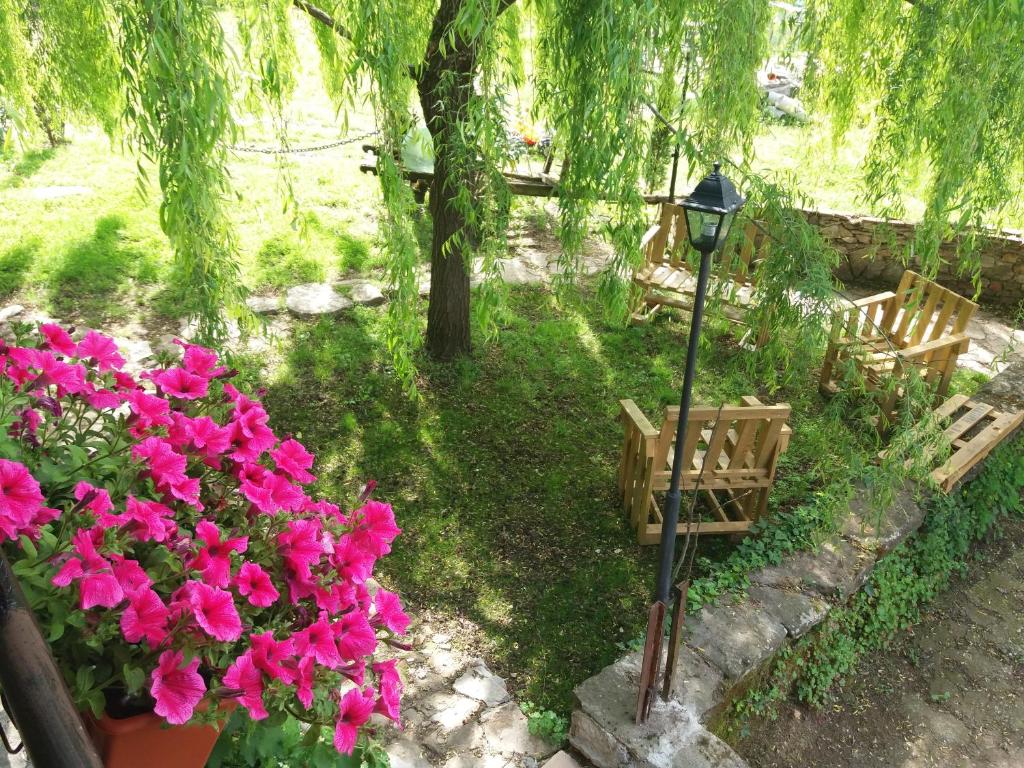 Zahrada ubytování Podere Casina Rossa