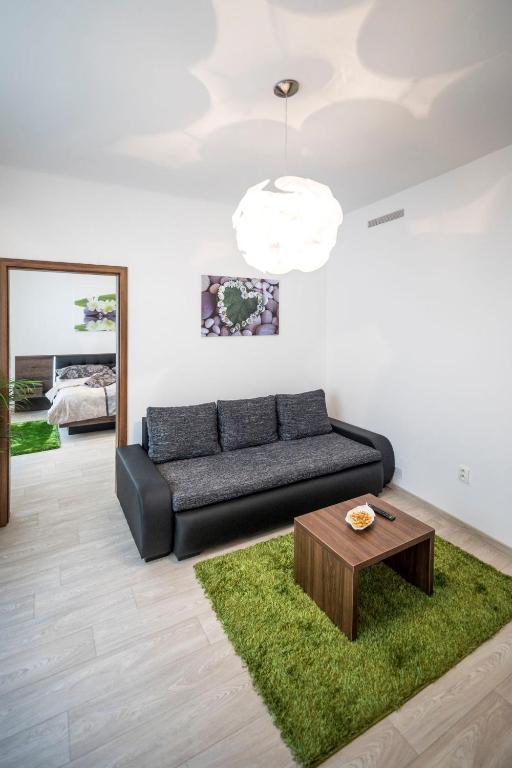 salon z czarną kanapą i stołem w obiekcie Apartmán Dolní náměstí w Ołomuńcu
