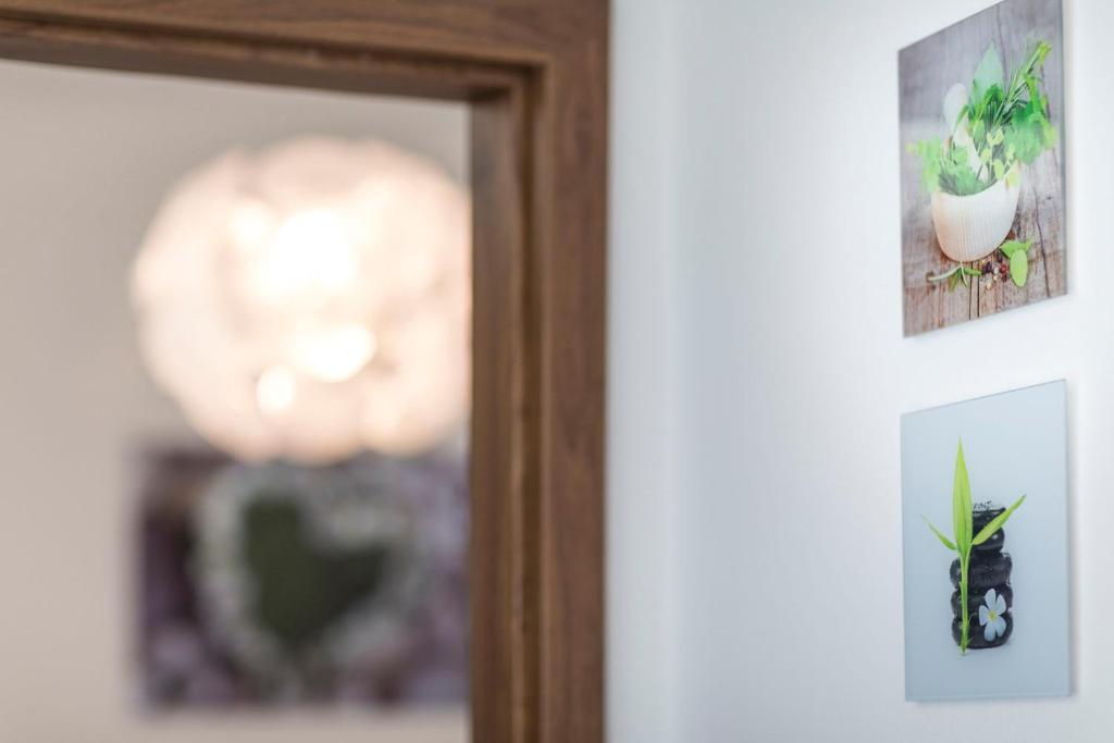 Zdjęcie z galerii obiektu Apartmán Dolní náměstí w Ołomuńcu