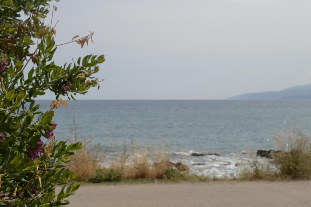 Andromeda Apartments & Studios - 6