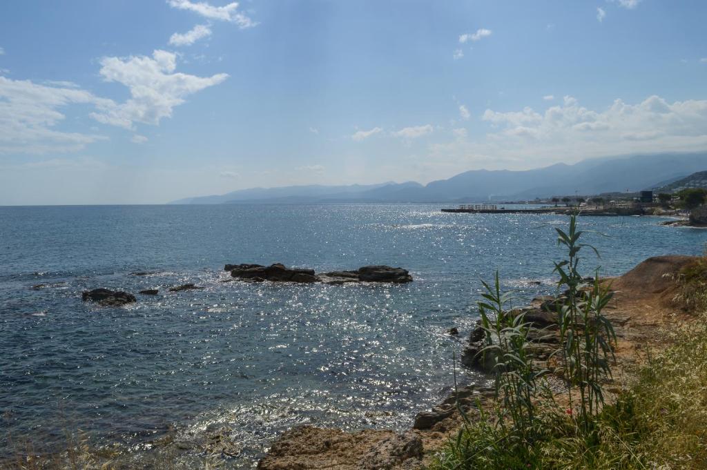 Andromeda Apartments & Studios - 4