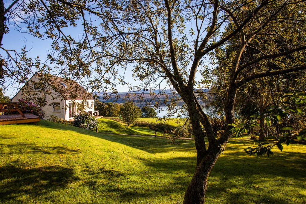 un arbre devant une maison dans un champ dans l'établissement Larch Cottage, à Blairmore