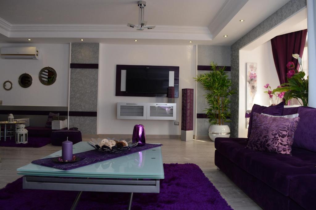 TV a/nebo společenská místnost v ubytování Luxury Nile Maadi Cairo Apartment