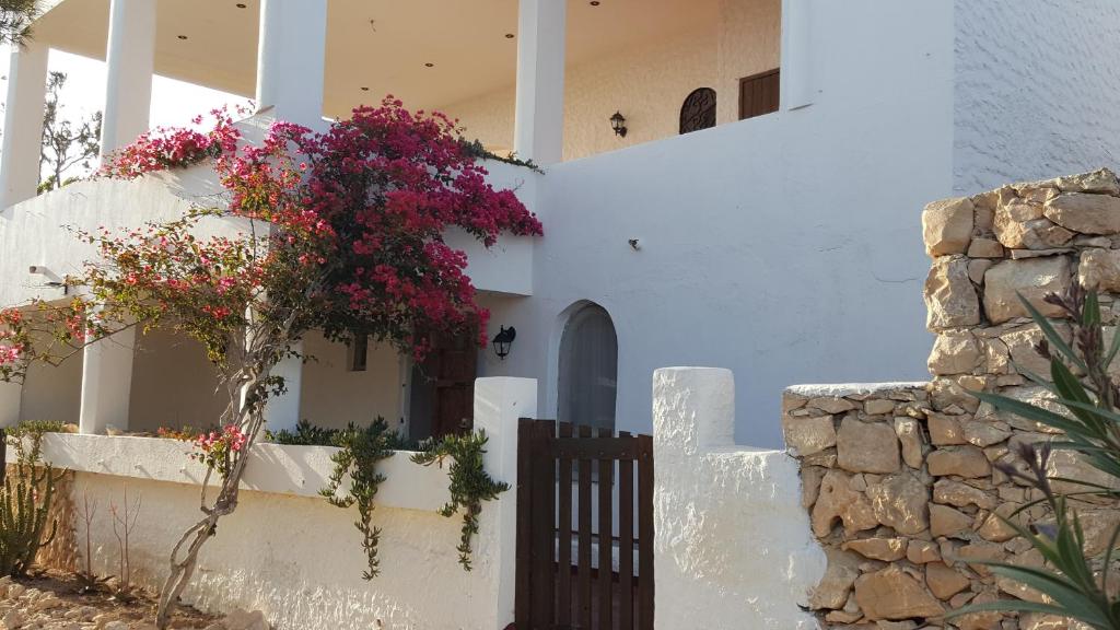 a house with white walls and a fence with pink flowers at Appartamenti Jeko in Lampedusa