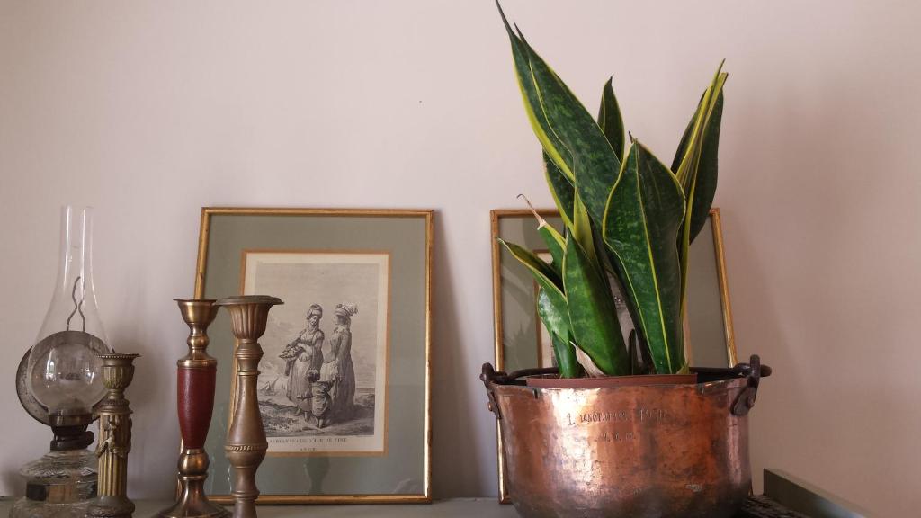 Fotografie z fotogalerie ubytování Agnantia Bed & Breakfast v destinaci Fiskardo