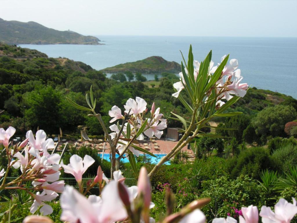 Eco Village Baia Delle Ginestre - Apartment With Sea View