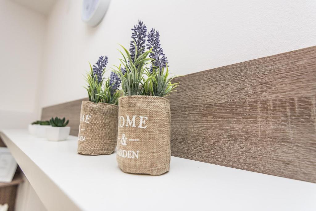 Fotografia z galérie ubytovania Melita Center Apartment v destinácii Zadar