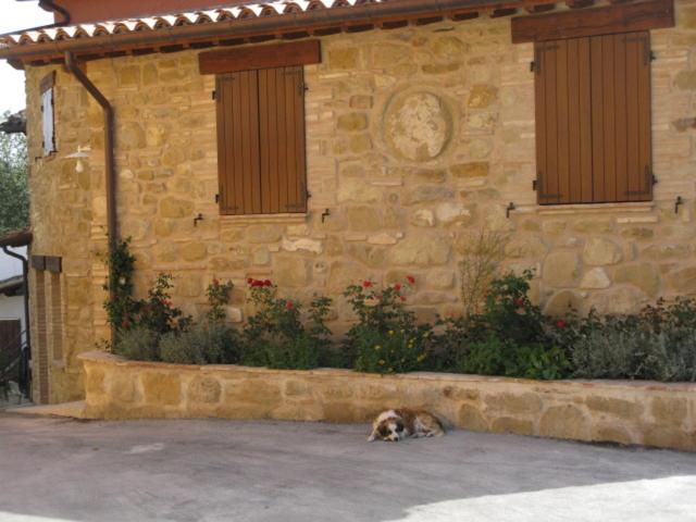 a cat laying on the ground in front of a building at Pietra Maula Agriturismo in Castelraimondo