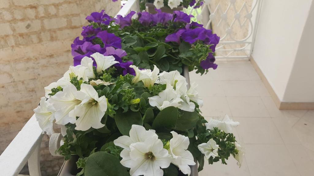 Matera Guest House - 18