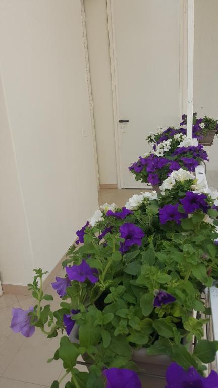 Matera Guest House - 19