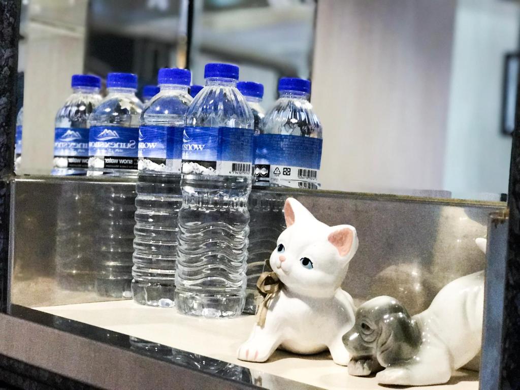 Domácí mazlíčci ubytovaní s hosty v ubytování Fu Chang Hotel
