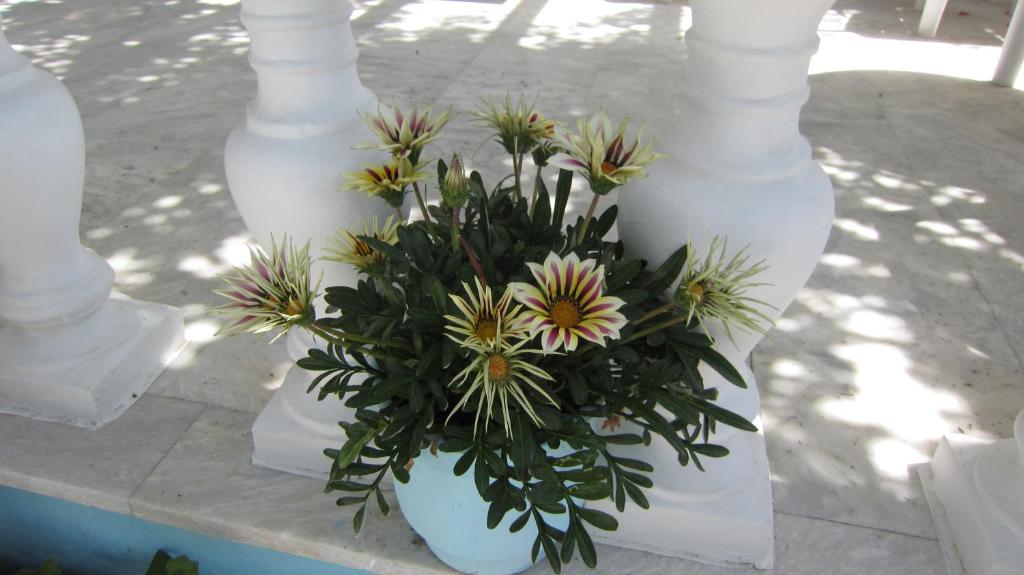 a white vase with flowers in it on a table at Sandalis Hotel in Pythagoreio